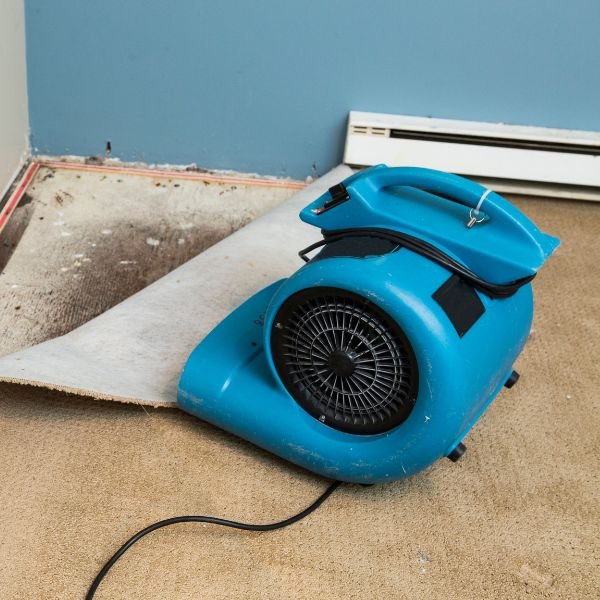 Water damage drying fan on wet carpet and subfloor