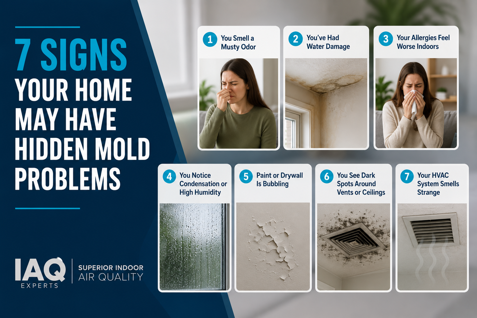 7 Signs Your Home May Have Hidden Mold Problems