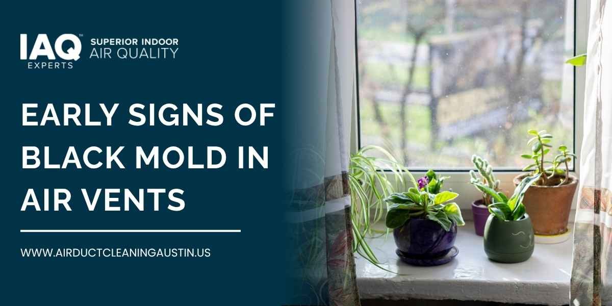 Early Signs of Black Mold in Air Vents