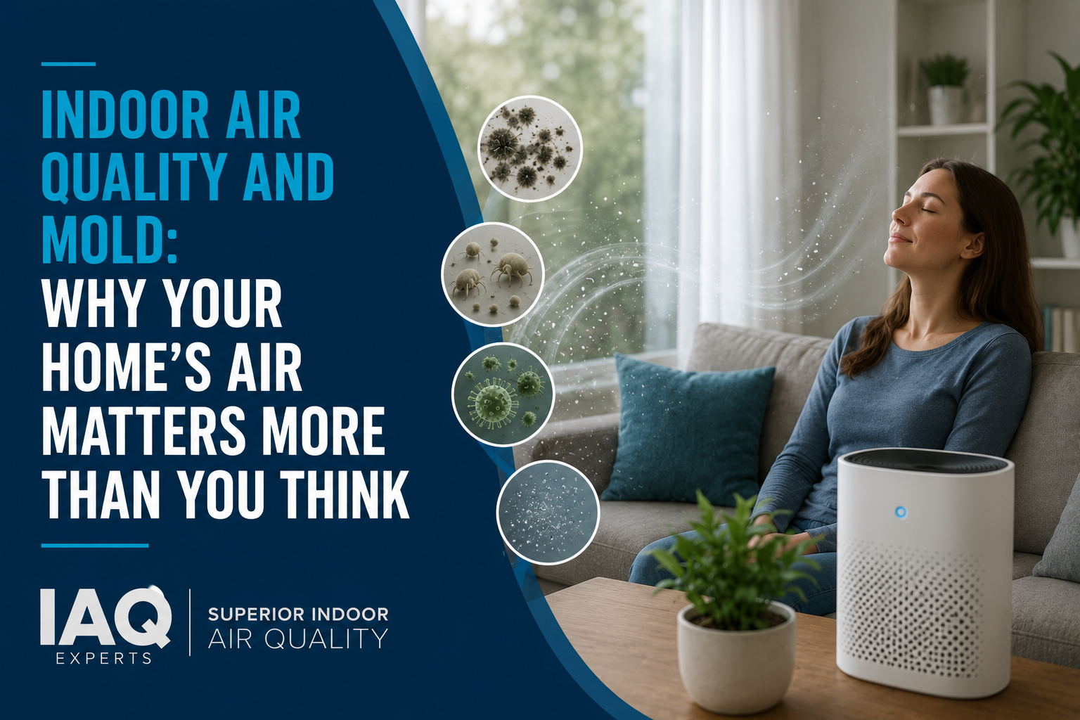 Indoor Air Quality and Mold