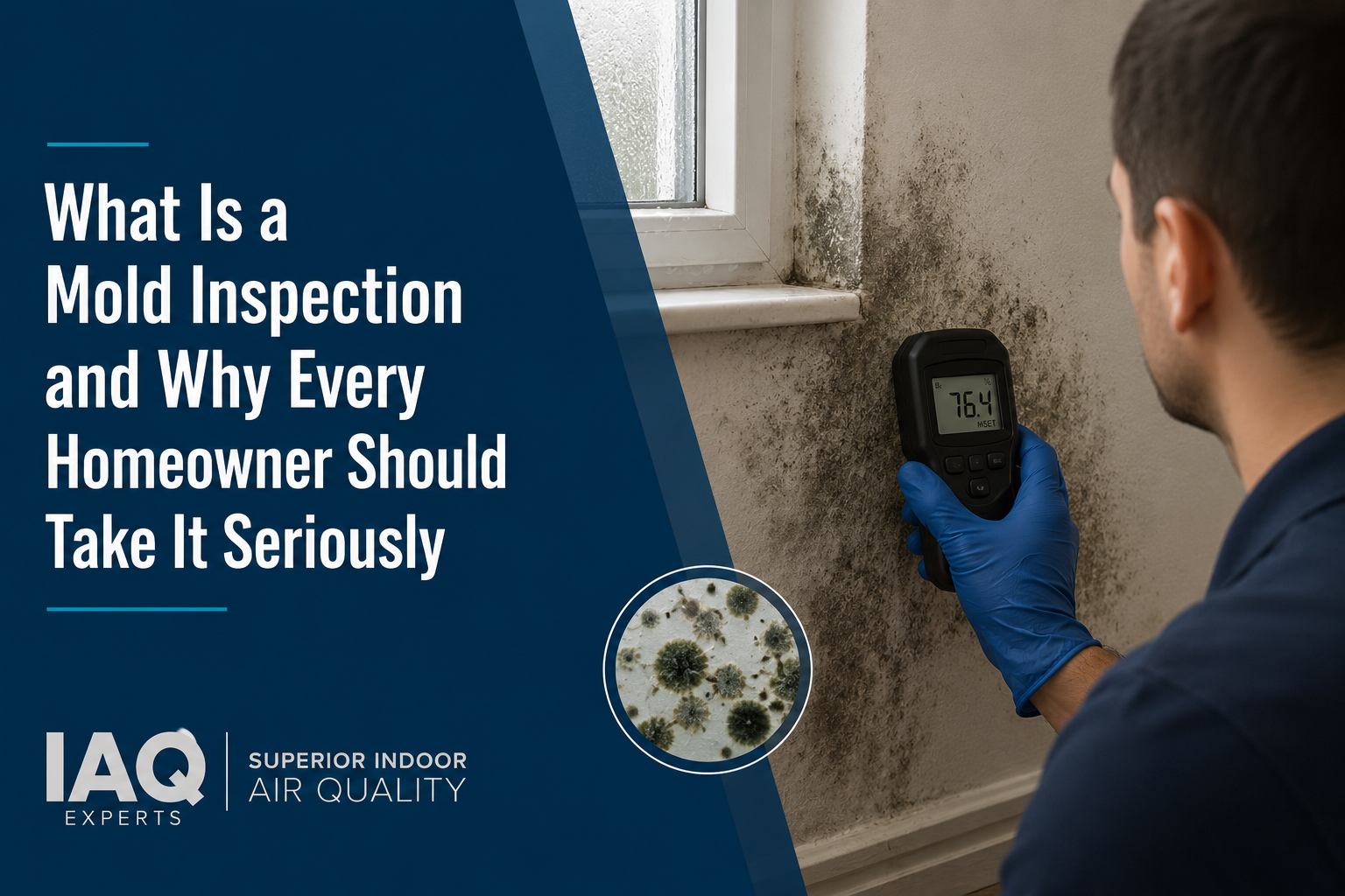 What Is a Mold Inspection and Why Every Homeowner Should Take It Seriously
