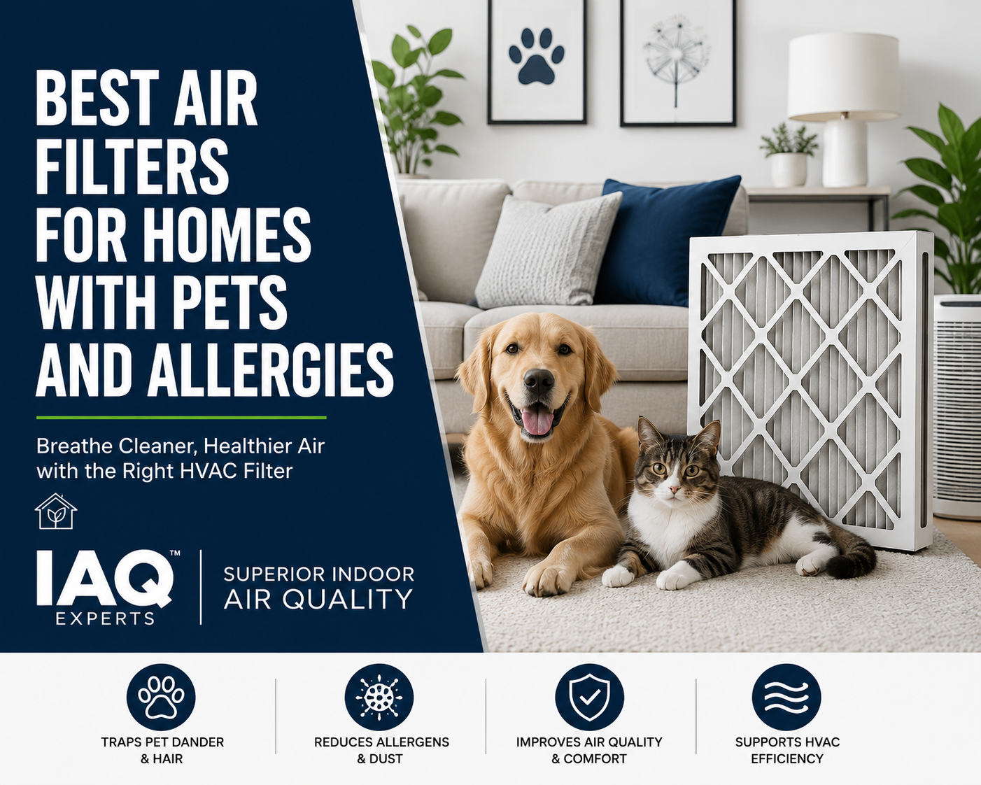 Best air filters for homes with pets